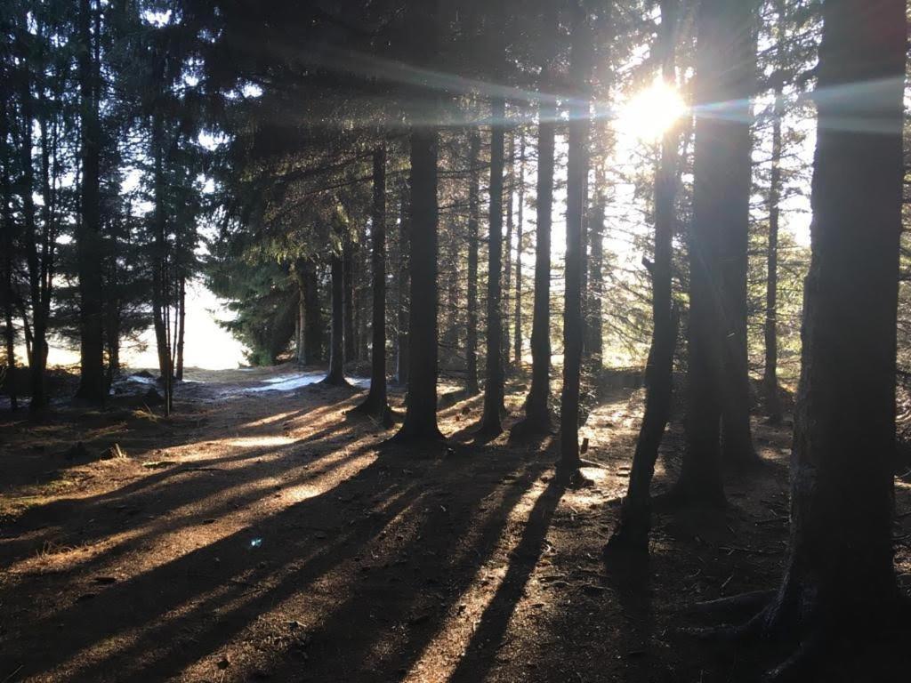 Apartmany Forest Kovářská 외부 사진